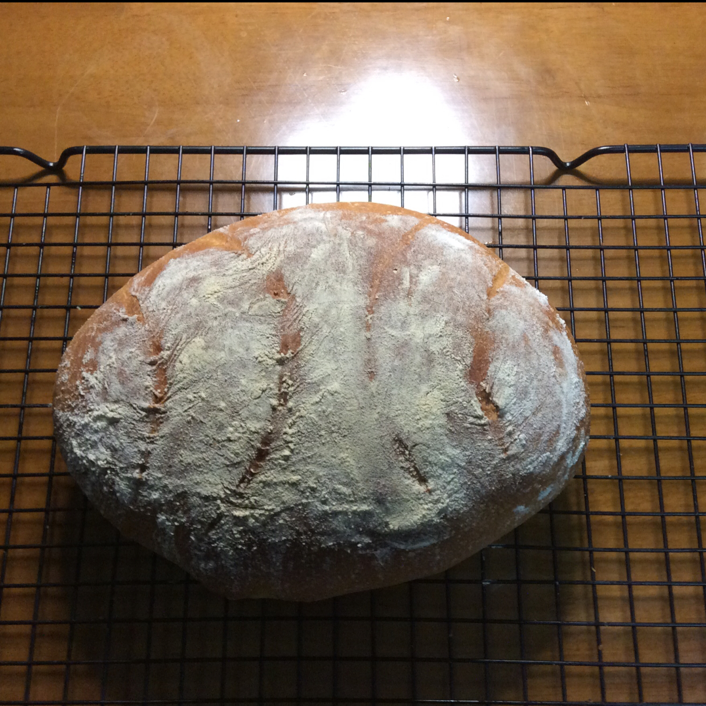 「欧包」经典英式布鲁姆面包 English bloomer