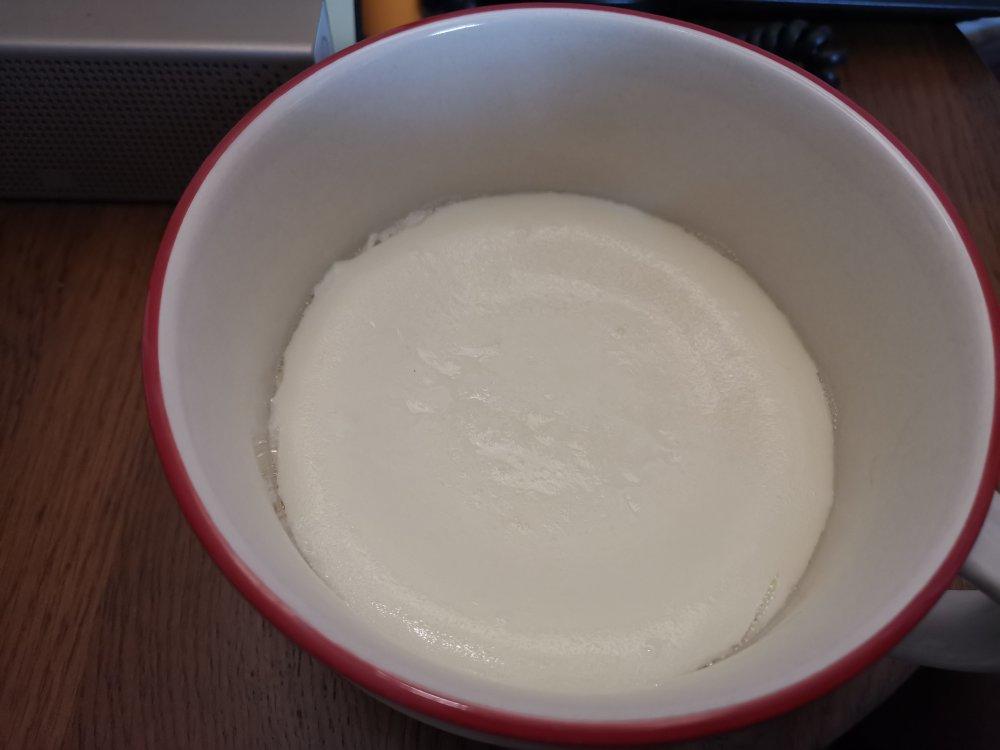 消耗多余蛋白食谱——蛋白炖奶