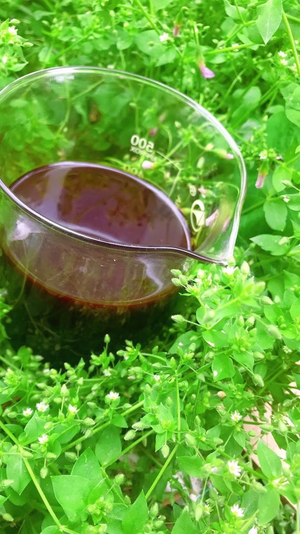 艾草薄荷膏 孕妇宝宝都可用
