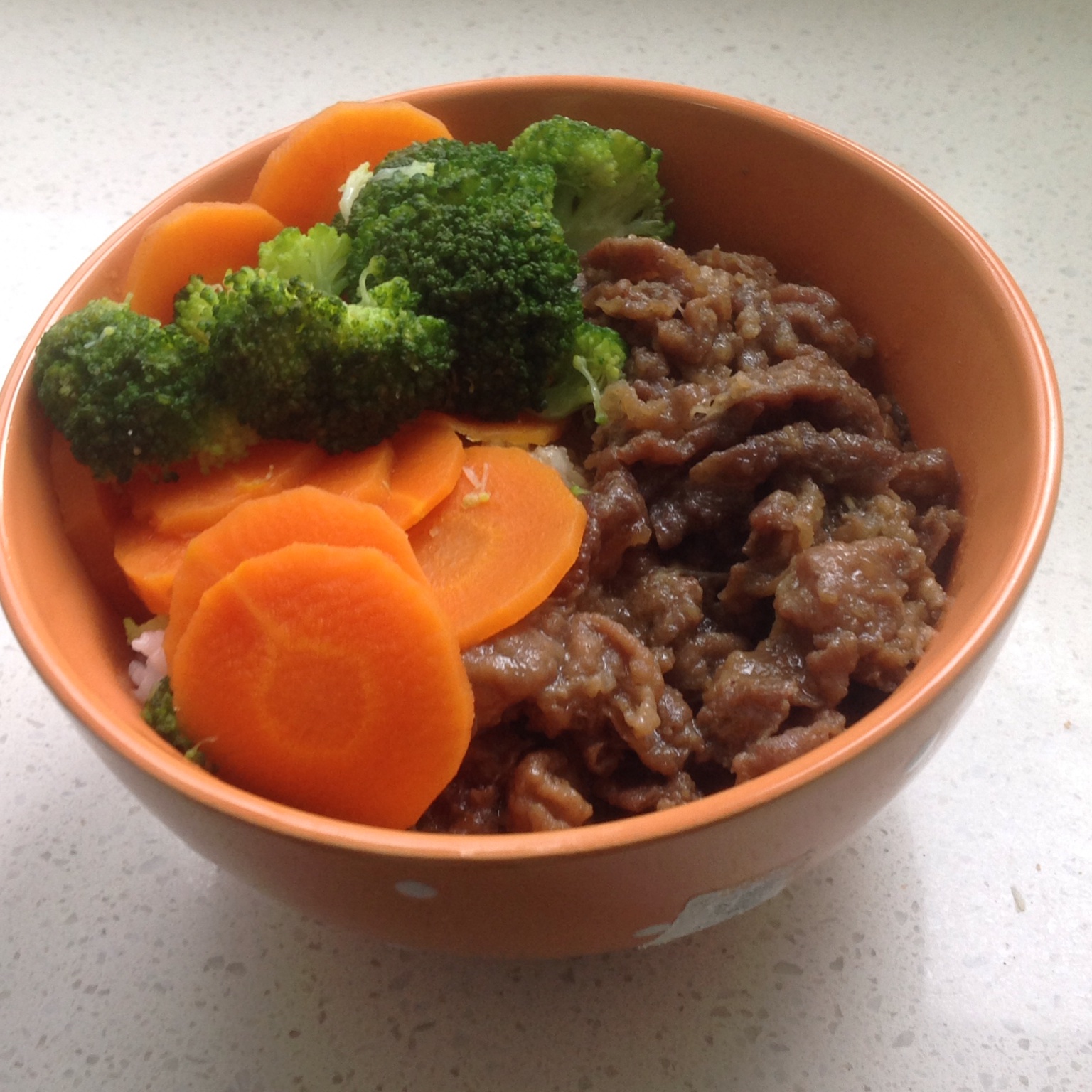 吉野家牛肉饭（牛丼）