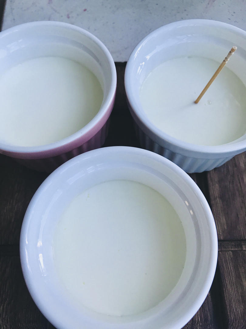 顺德双皮奶