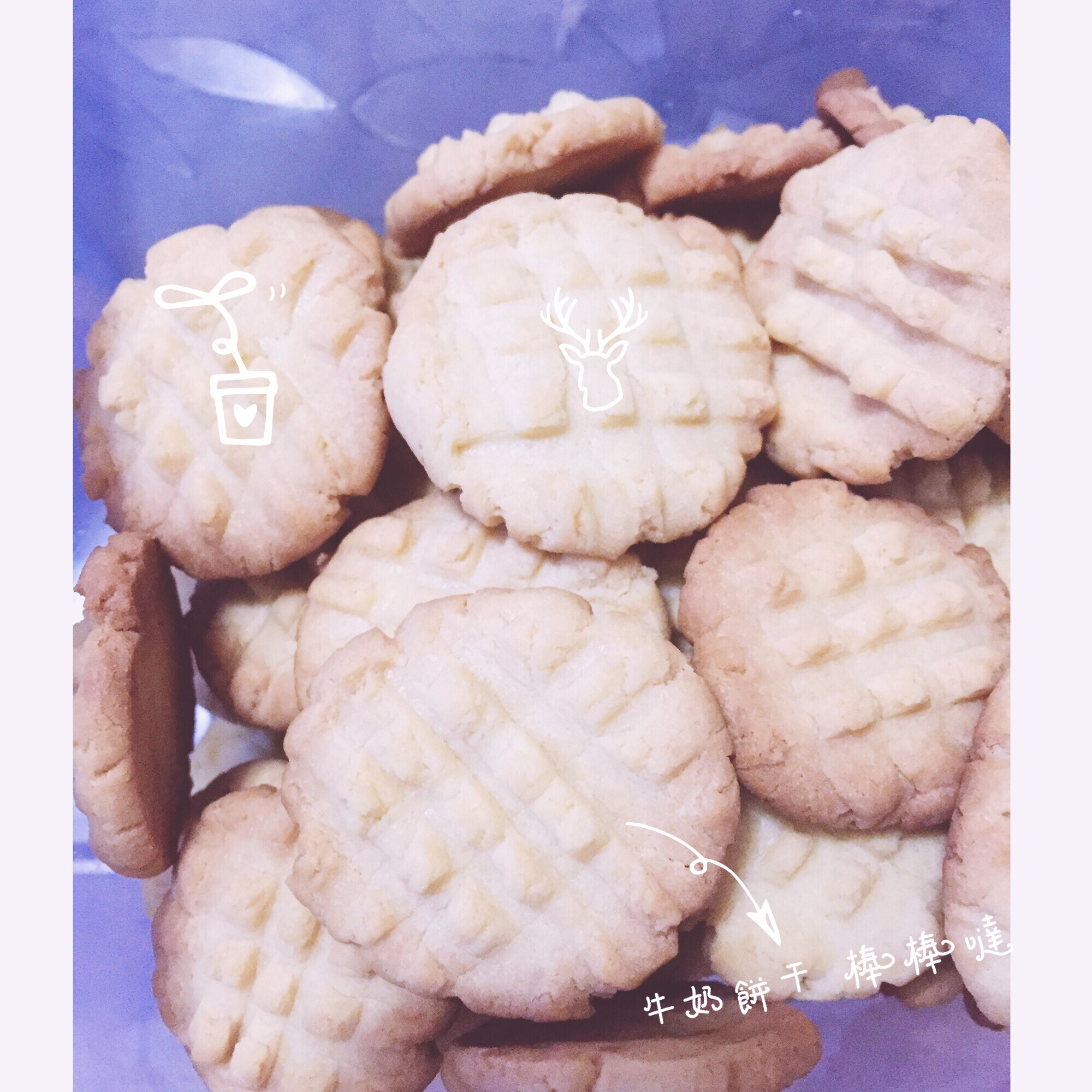 牛奶饼干