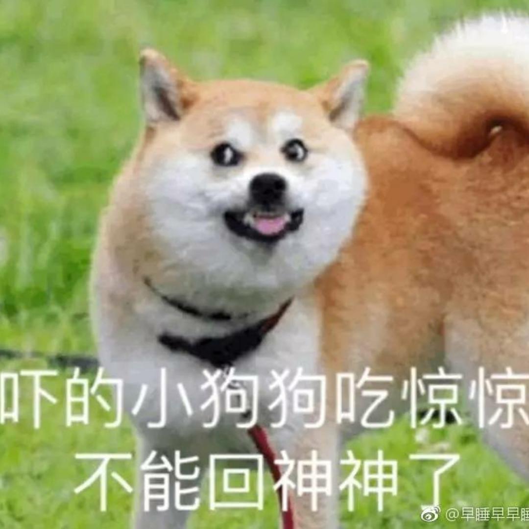 逛吃逛吃哼的厨房