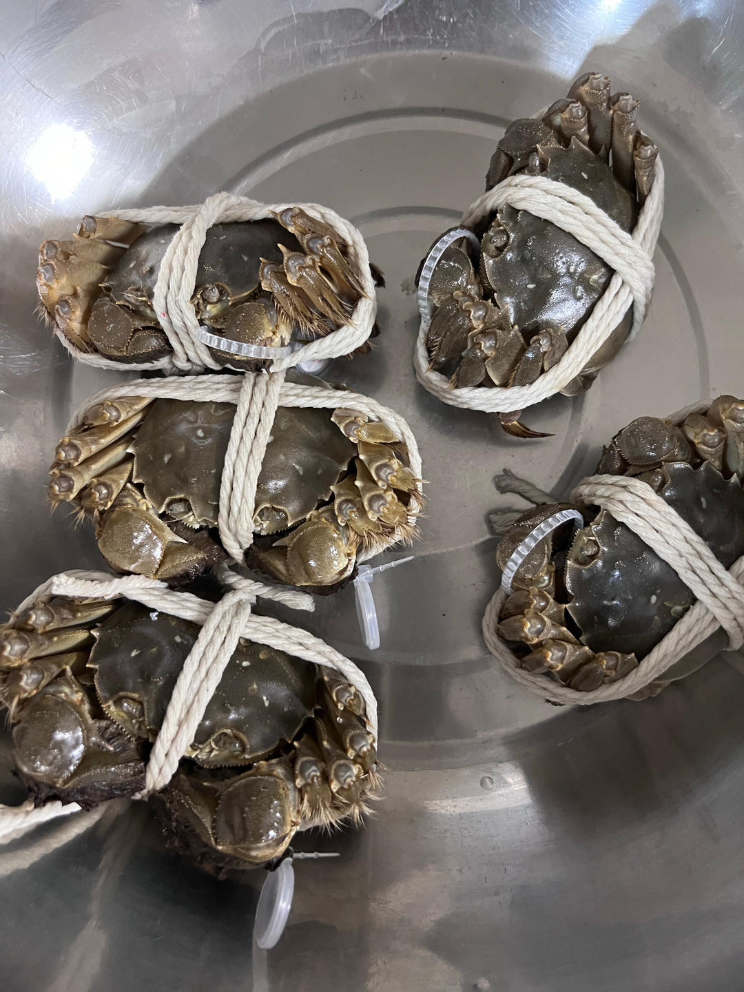 大闸蟹