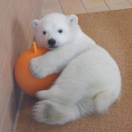 学菜的聪明小唐