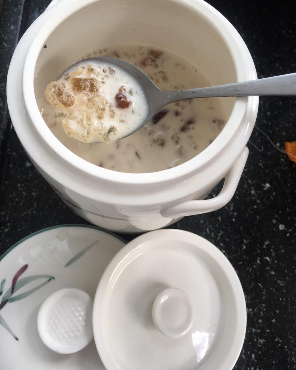牛奶炖桃胶