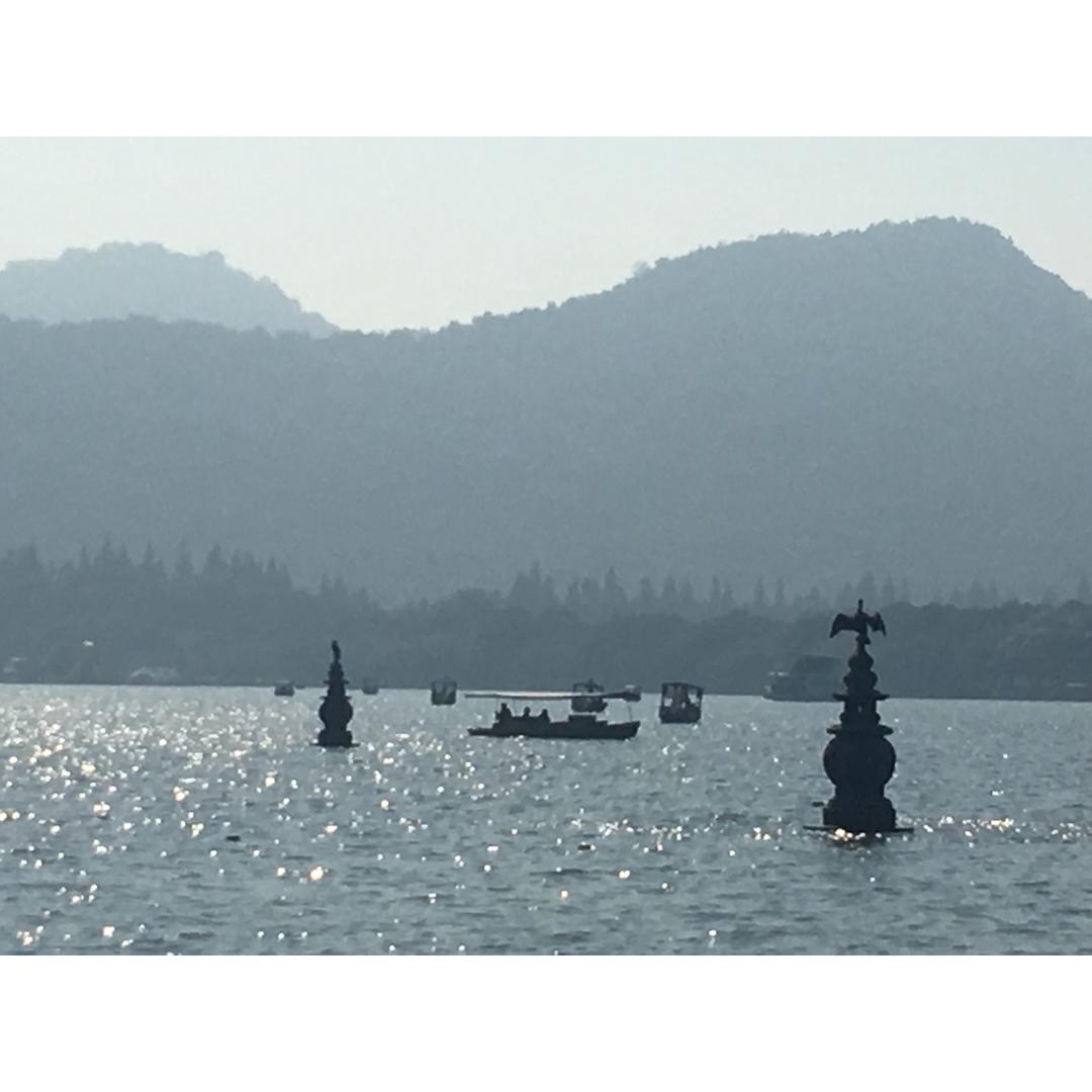 午餐•2016年11月6日