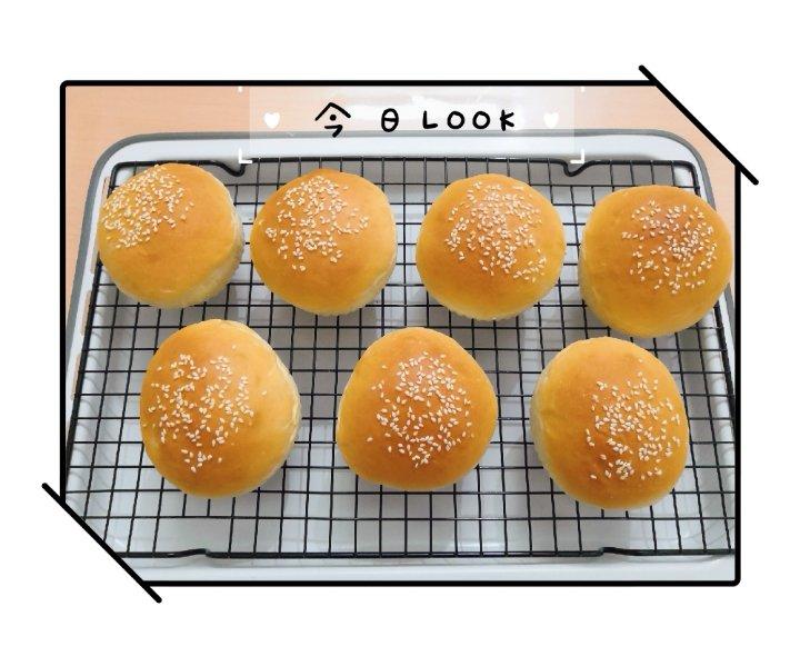 汉堡胚（中种法）