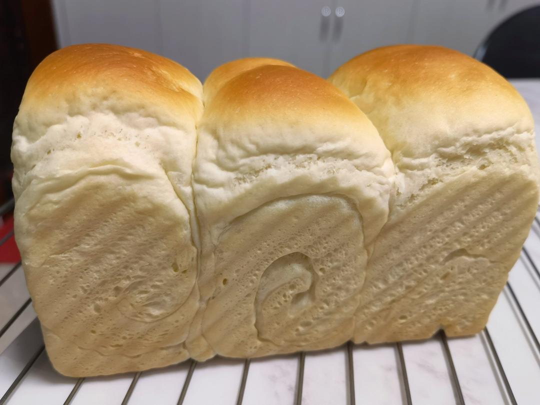 《Tinrry+》软绵绵的白吐司