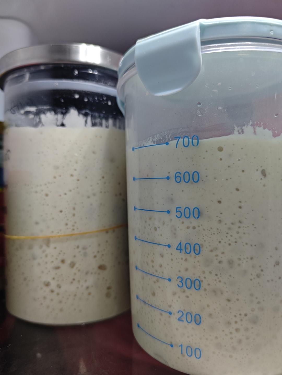 让面包变好吃的秘籍-全麦起种「鲁邦种」