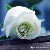 爱尚烘焙的碟