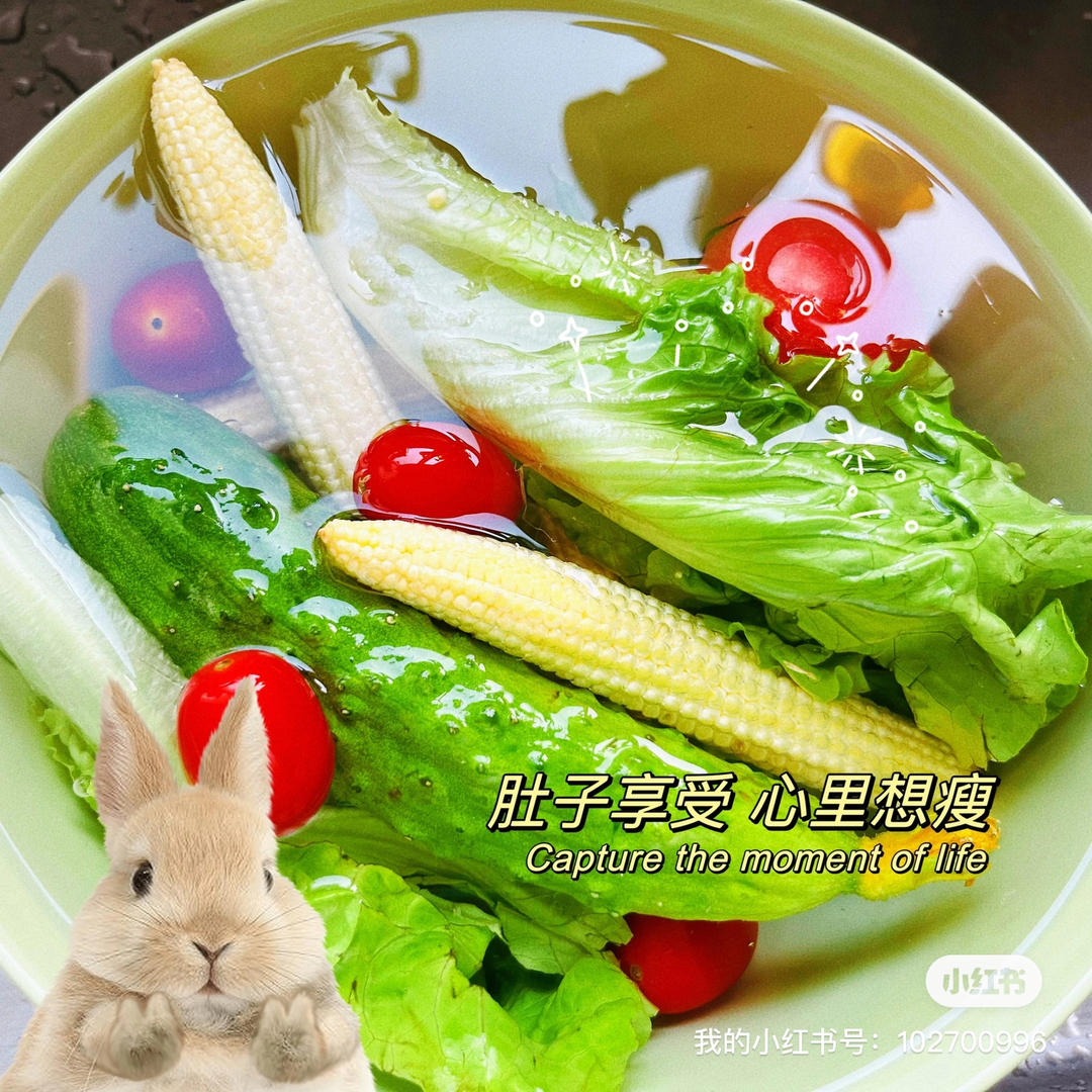 0负担蔬菜沙拉🥗