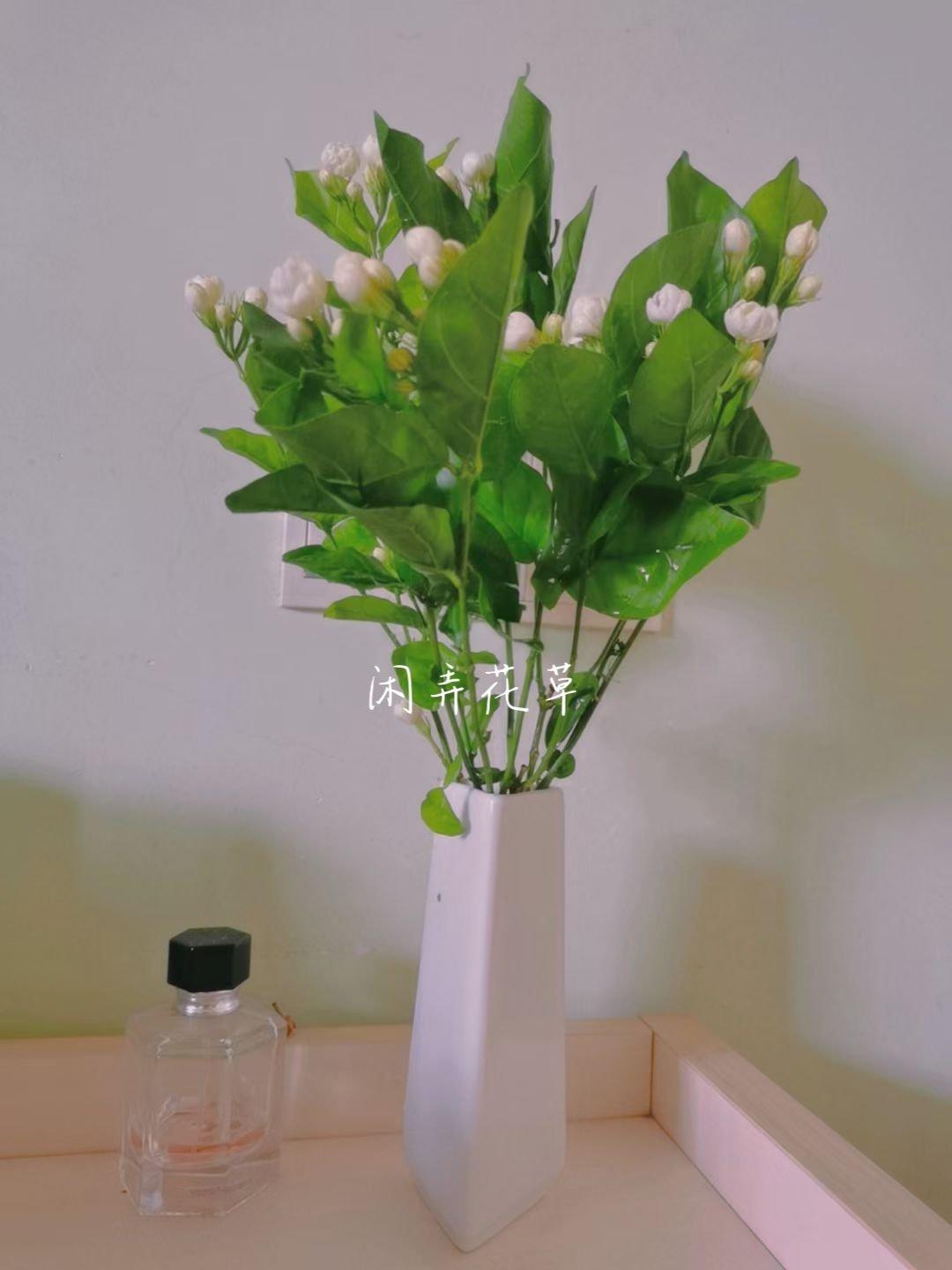 自制茉莉花茶～轻风茉莉入淡茶～