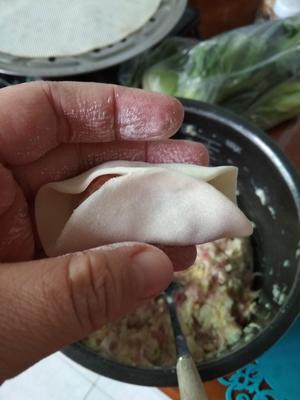白菜猪肉饺（附饺子包法）的做法 步骤6