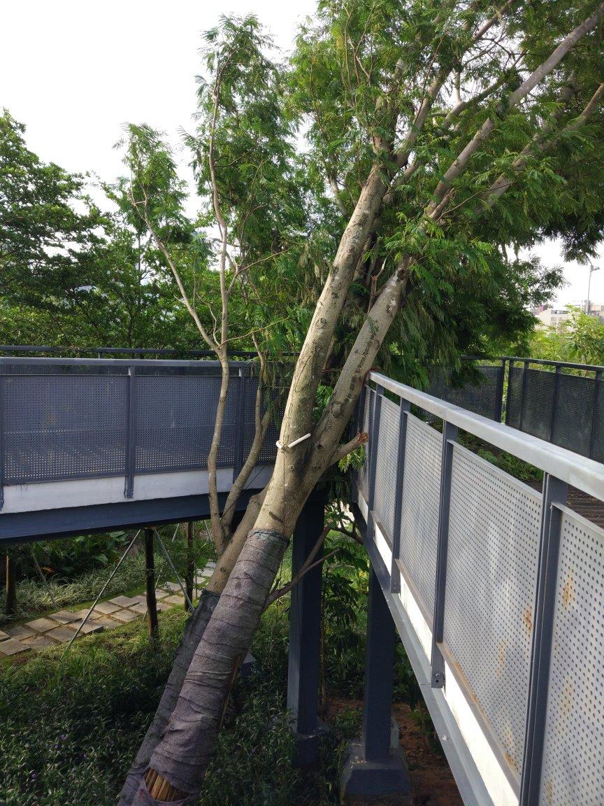 唤醒早晨的N种方式