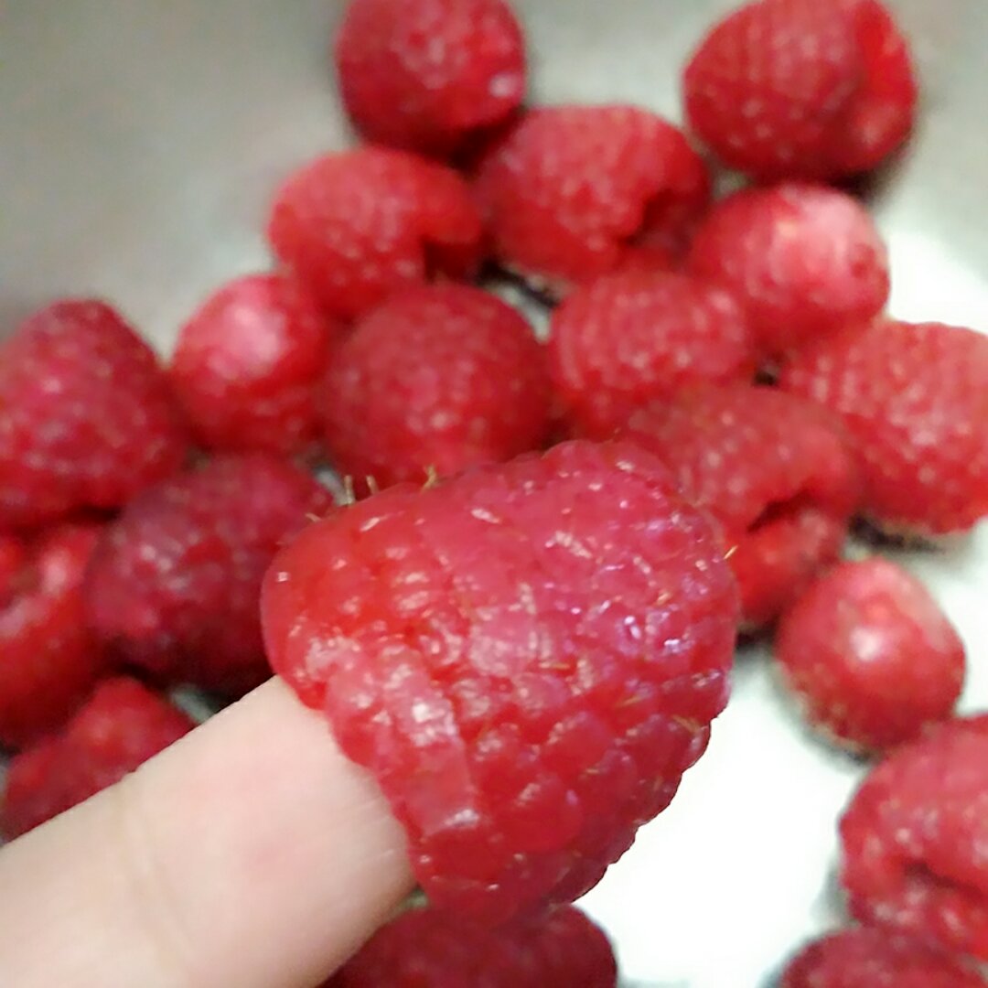 手指树莓❤❤❤