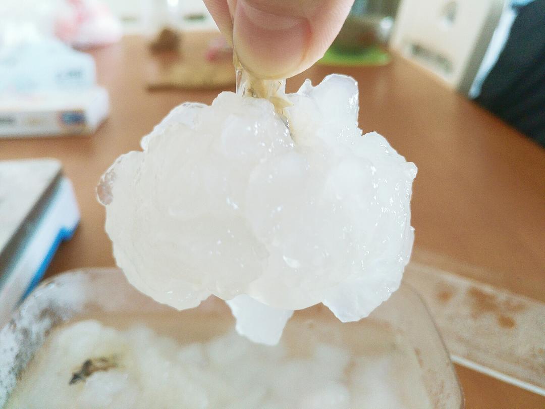雪蛤的泡发技巧的做法