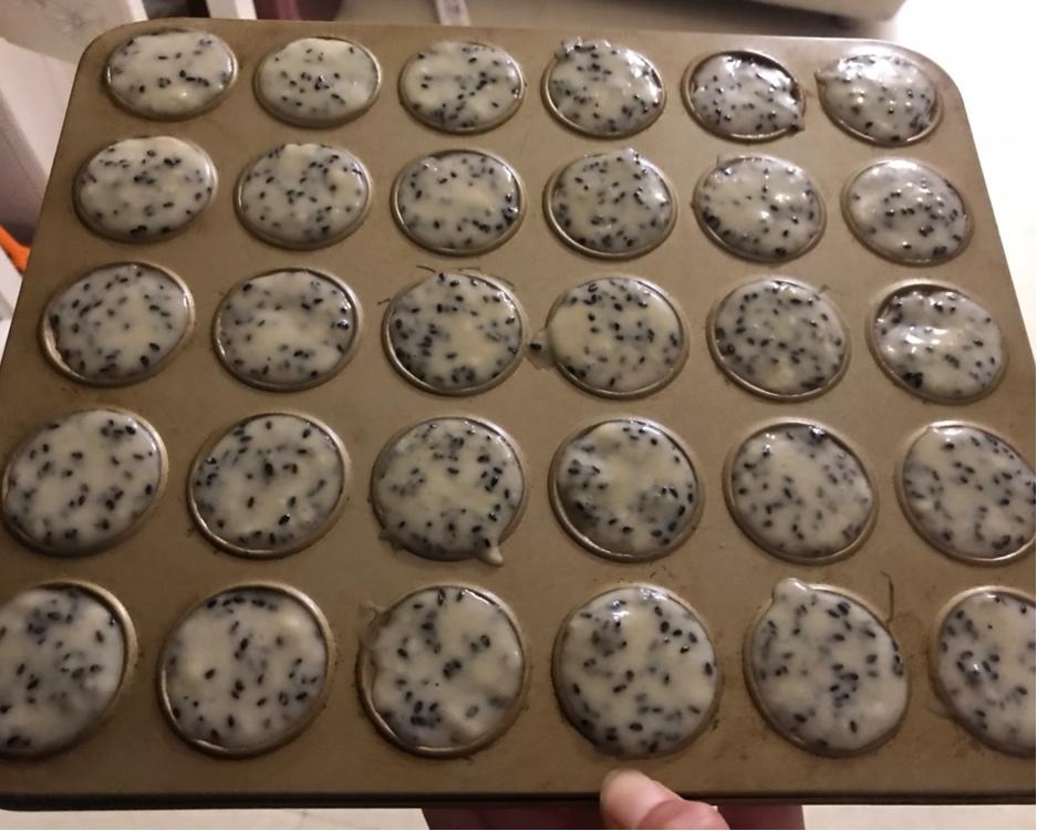 芝麻薄脆蛋白饼干