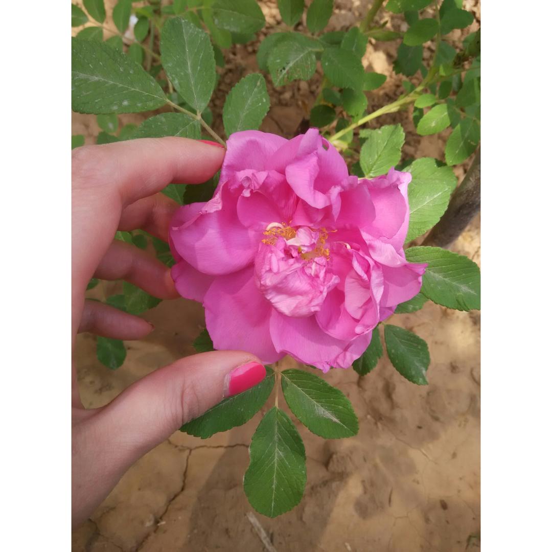 一个懒人--我做的食物记录