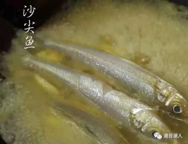 潮音潮人：豆酱水煮沙尖鱼的做法 步骤5