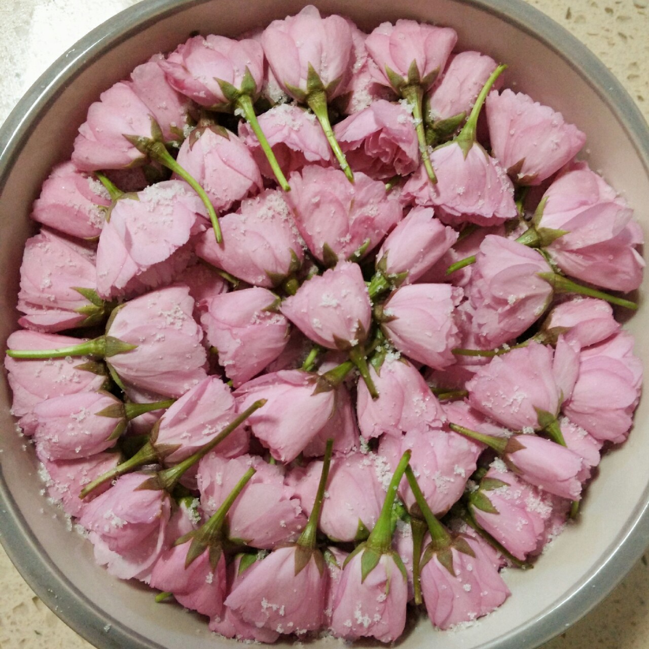 盐渍樱花