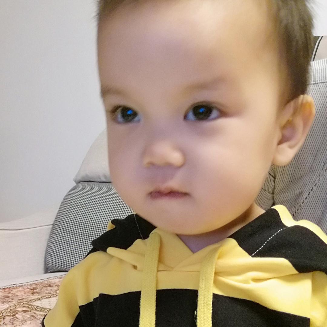 金豆豆与银豆豆