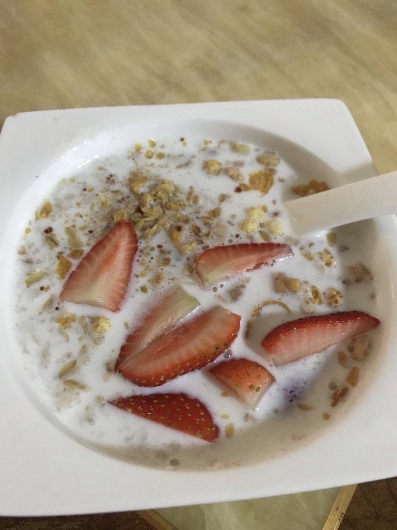 多口味牛奶钢切早餐燕麦粥丨健康·三餐