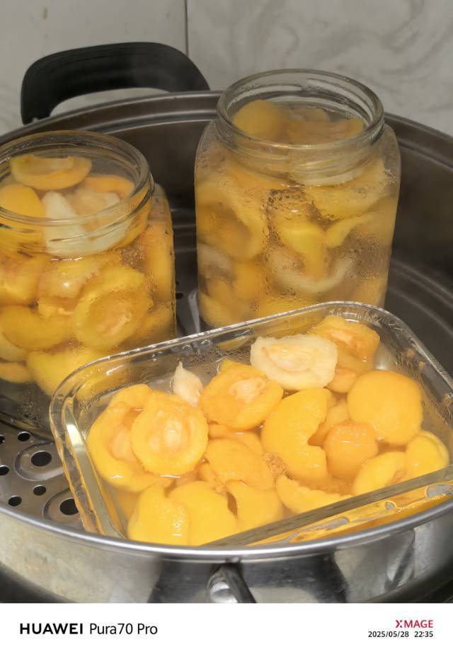 零食 自制枇杷罐头