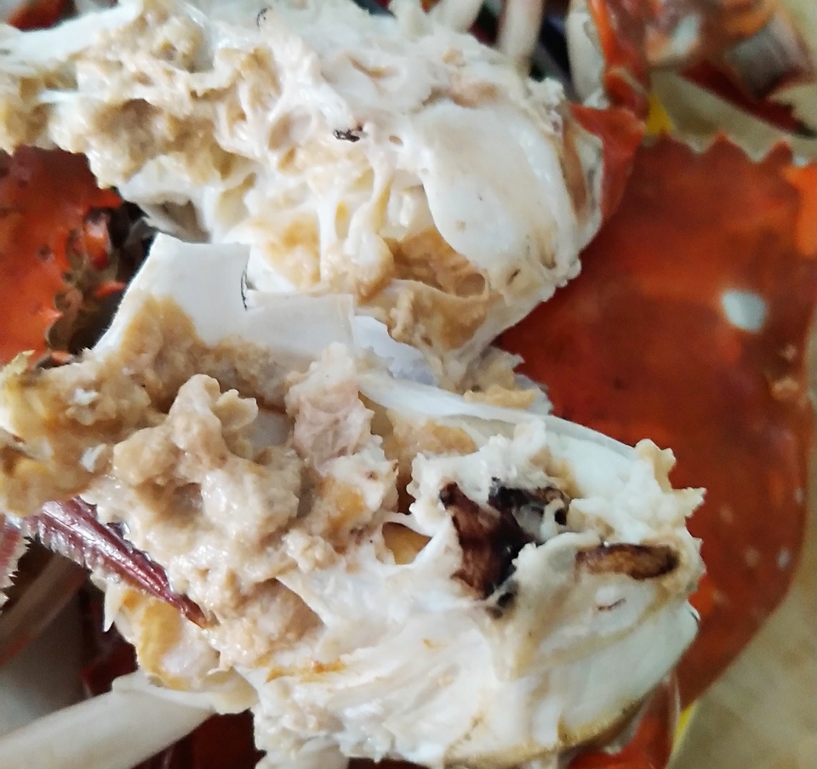 烤梭子蟹（干烧螃蟹）的做法 步骤5