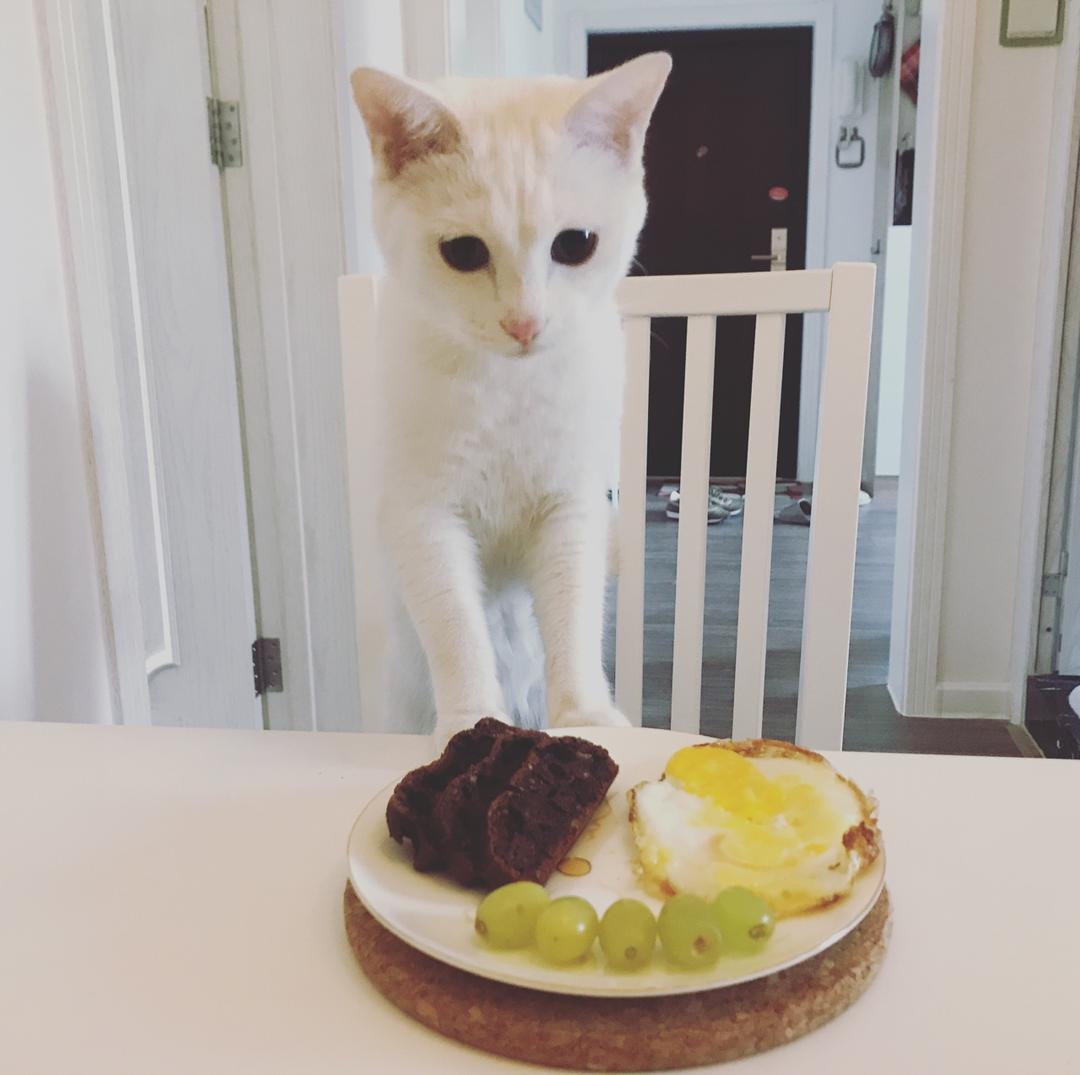 可能是最好吃的香蕉巧克力蛋糕