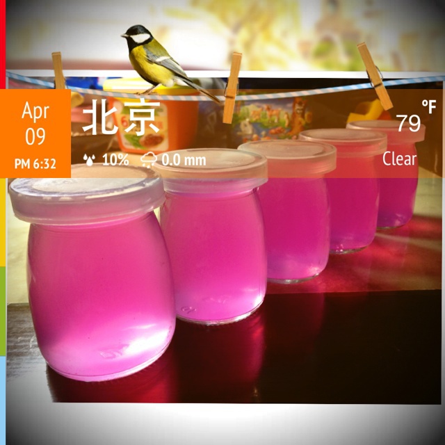 水果酵素（含各种水果的搭配效果）