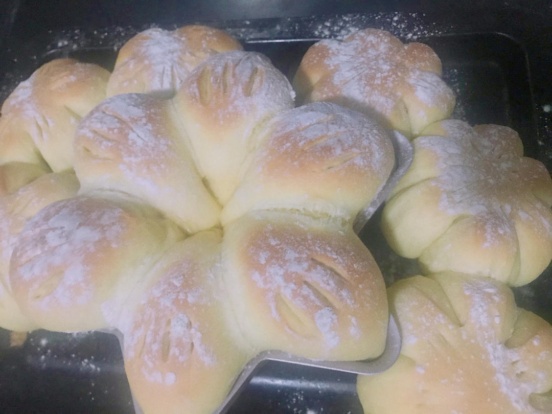 五星推荐蔓越莓乳酪软欧包