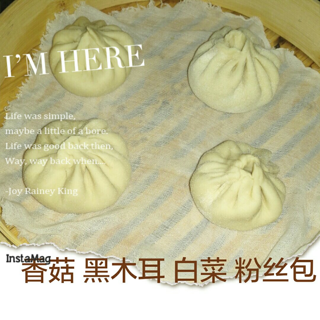 家庭手工肉馅大包子