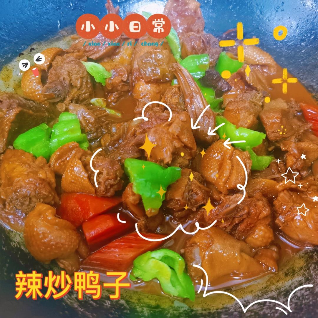 超简单红烧鸭子