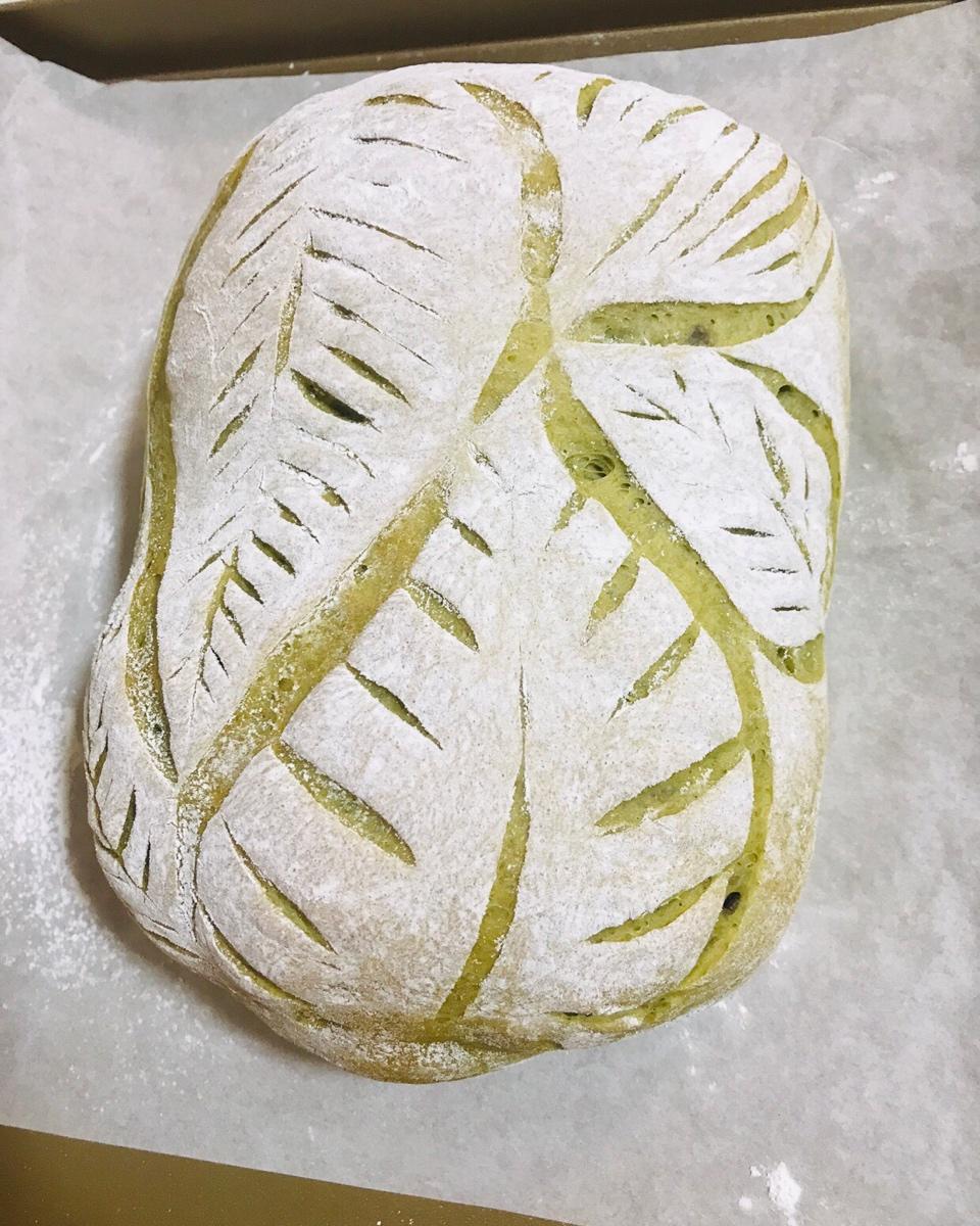 欧包割包视频教程-大龟背竹