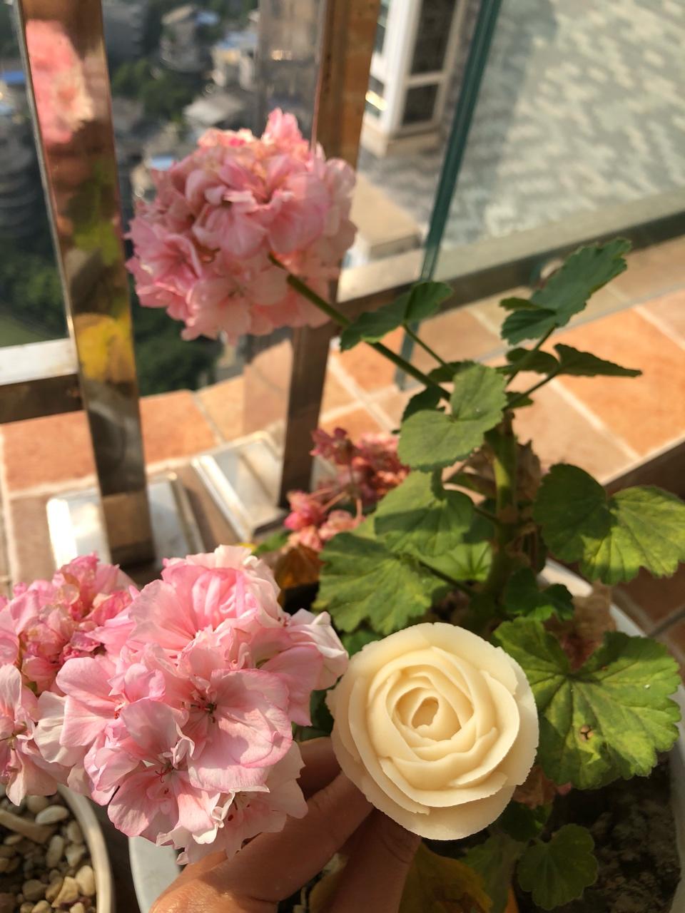 自学韩式裱花
