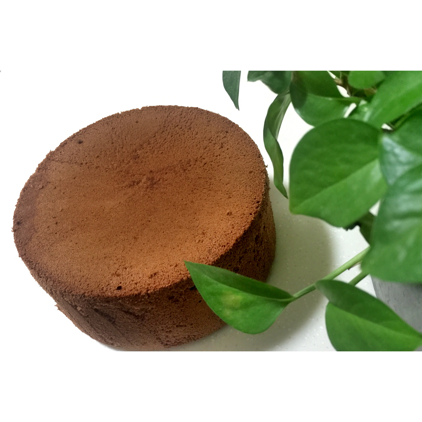 果子学校可可戚风