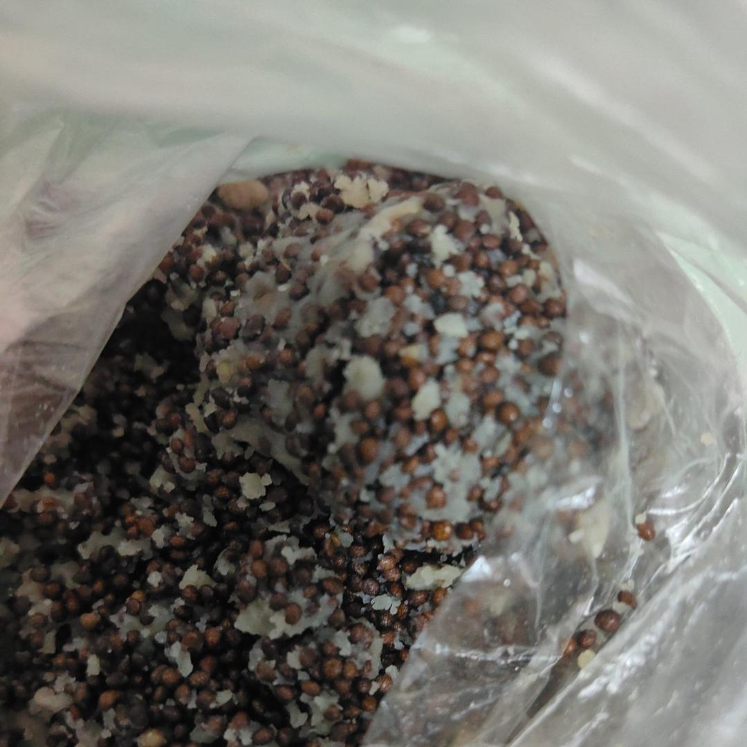 咸香苏子馅广式月饼馅料