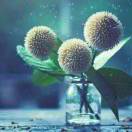 春暖花开101