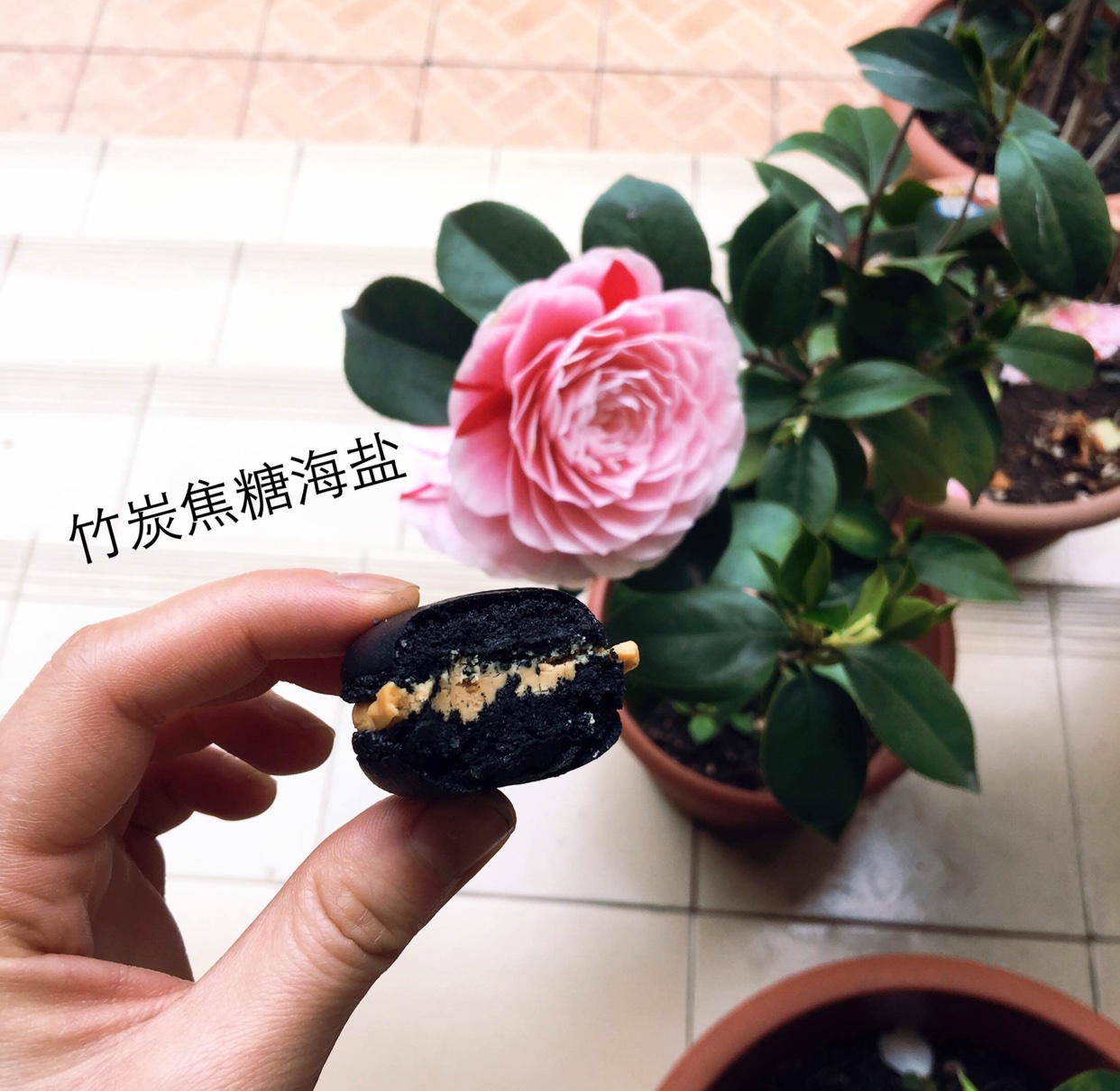 我的马卡龙日记