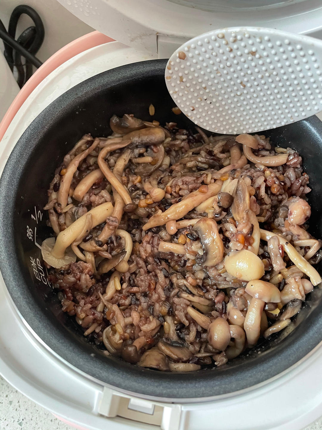 日式杂菌鸡肉炊饭