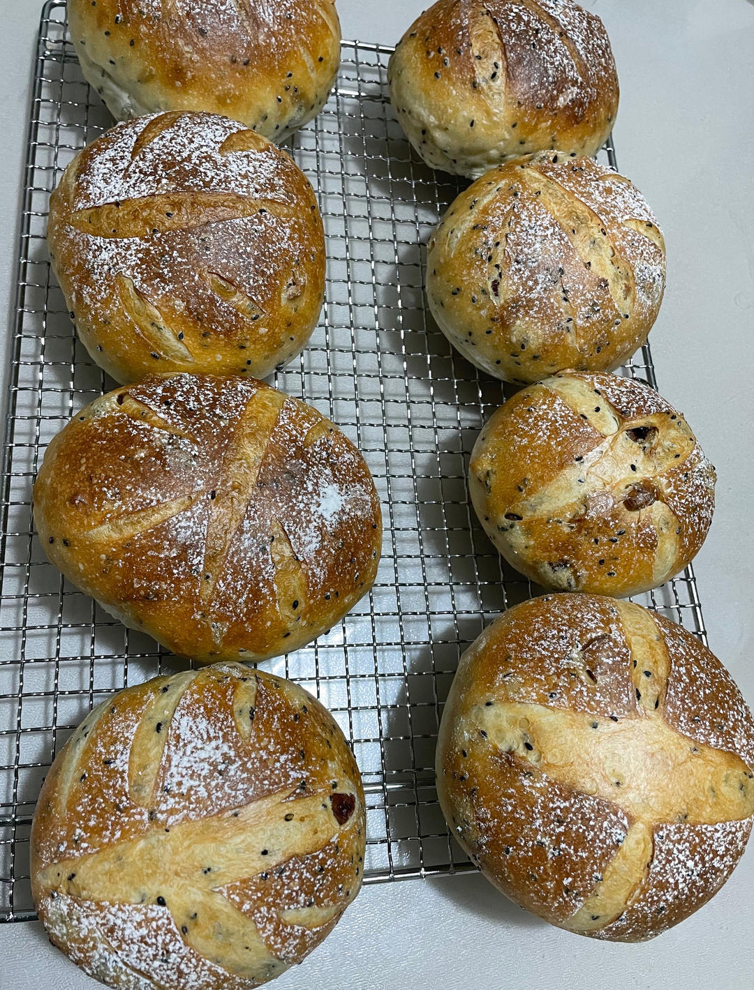 低油低糖--提子核桃软欧