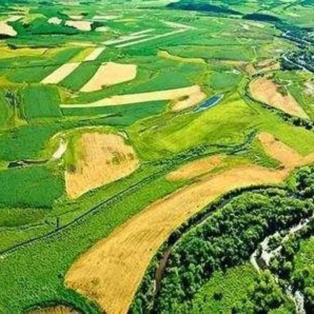 东北farmer的厨房