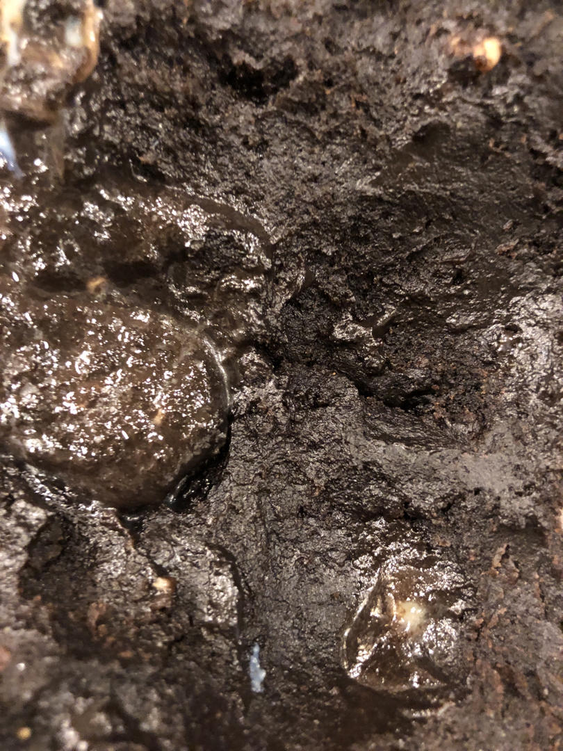 零基础❗不用任何粉儿❗️的️奥利奥包浆布朗尼