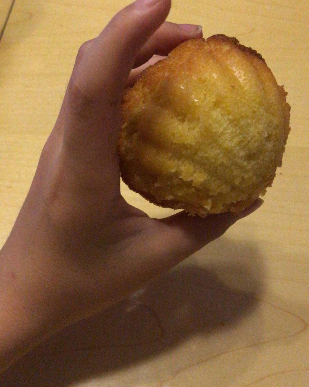玛德琳（蓝带方）
