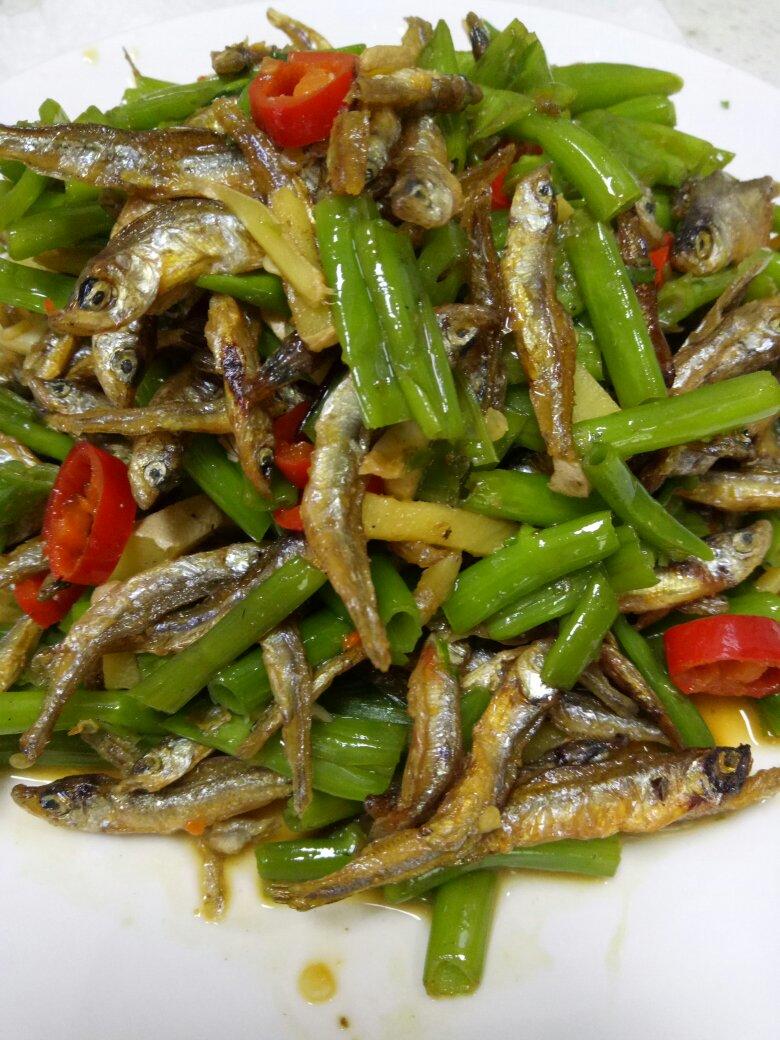 🌶️辣椒炒小鱼干🐟