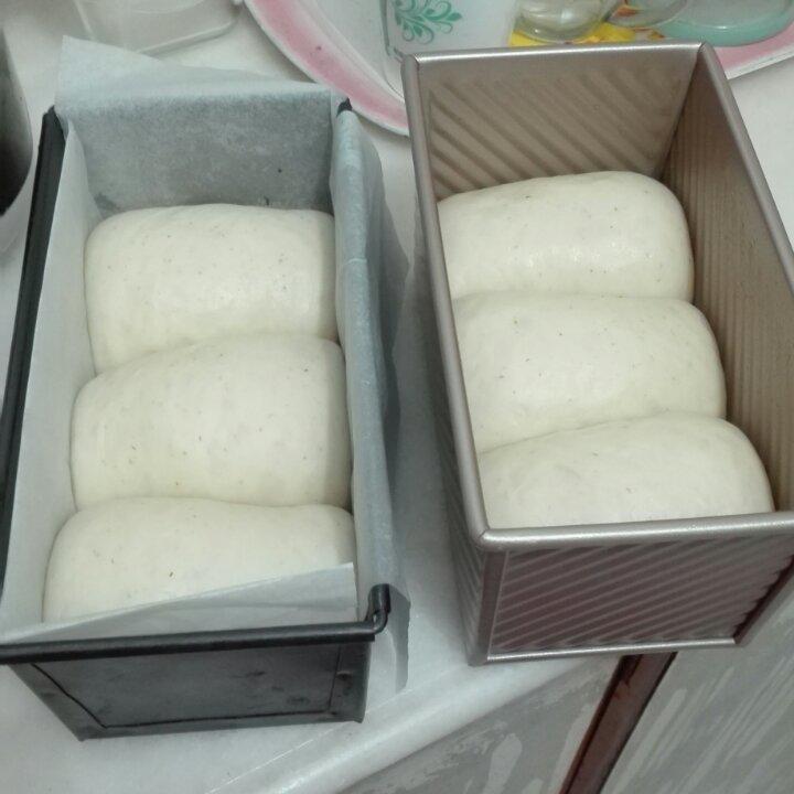 2016年11月21日