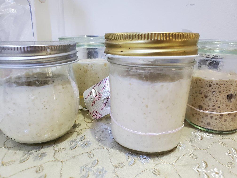 天然酵种培养记（小白记录用）（or鲁邦种）