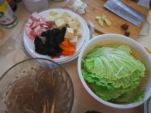 东北白菜猪肉炖粉条（家常版）的做法 步骤1