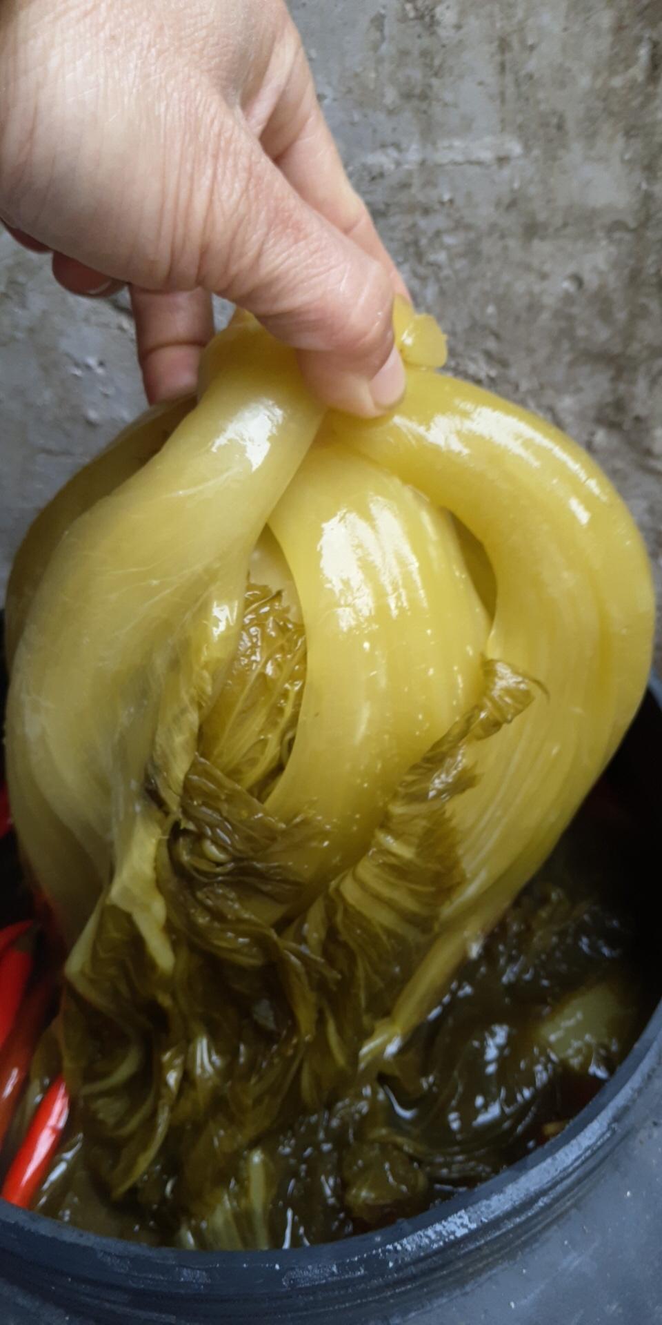 酸爽无比的酸菜